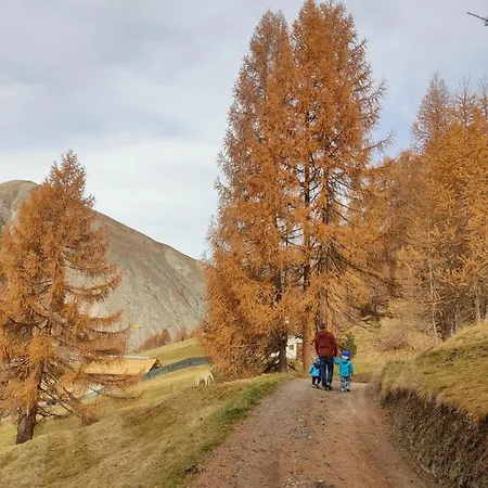 Cirmolo * Livigno